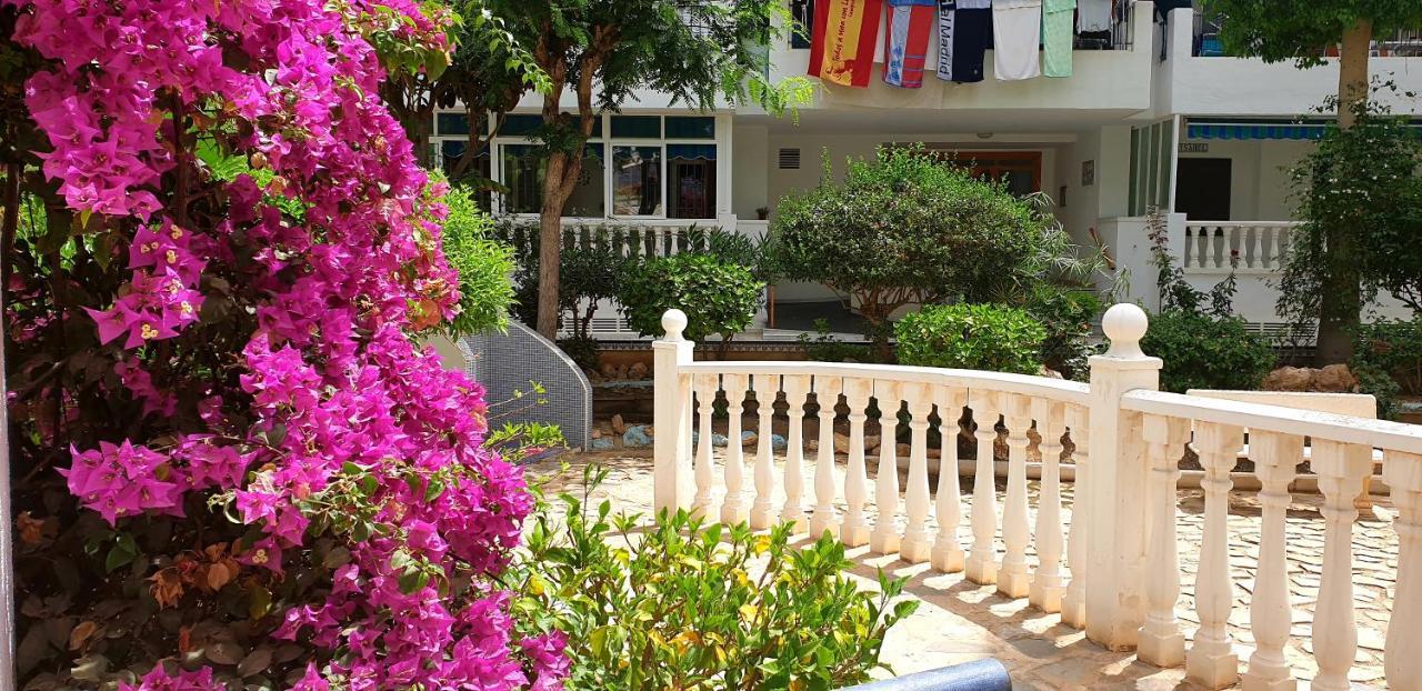 Appartement Vinamar La Mata